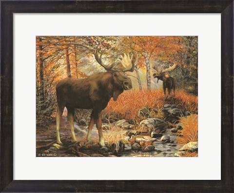 Framed Call of the Wild Print