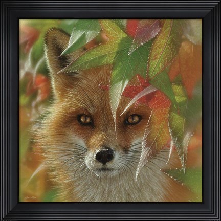 Framed Autumn Red Fox Print