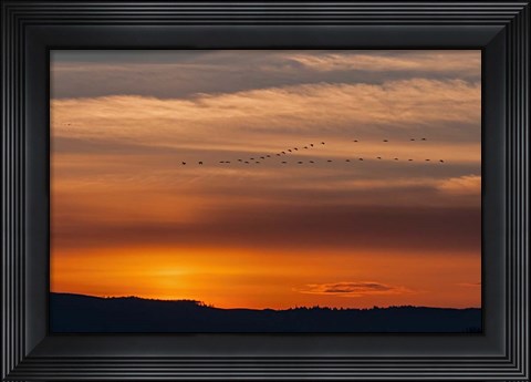 Framed Sunset Flight Print
