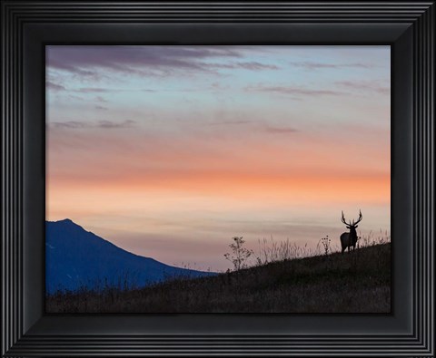 Framed Elkscape Print