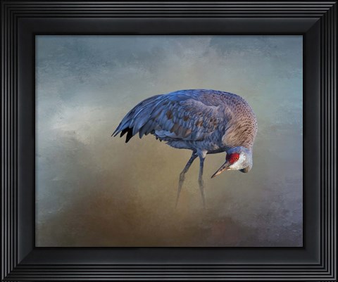 Framed Sandhill Crane Print