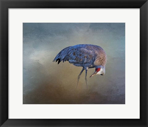 Framed Sandhill Crane Print