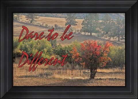 Framed Dare to be Different Print