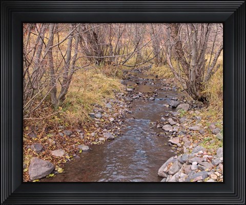 Framed Ochoco Creek Print