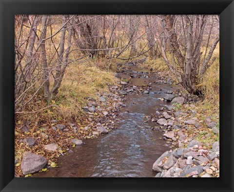 Framed Ochoco Creek Print