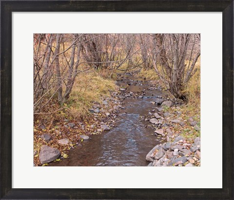 Framed Ochoco Creek Print