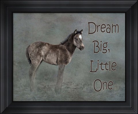 Framed Dream Big Print