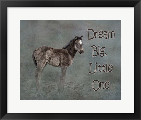 Framed Dream Big Print