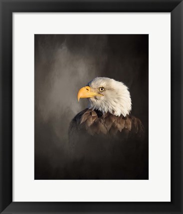 Framed Bald Eagle Print