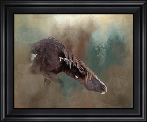 Framed Majesty - Wild Stallion Print