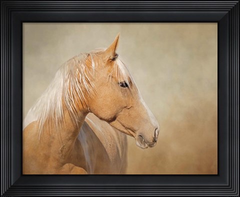 Framed Silk - Mustang Mare Print