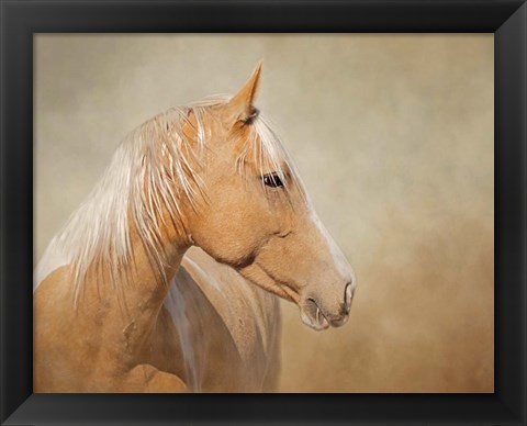 Framed Silk - Mustang Mare Print