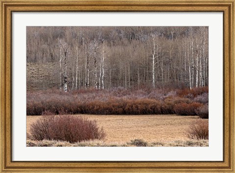 Framed Steens Mountain Meadow Print