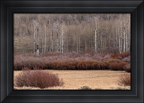 Framed Steens Mountain Meadow Print