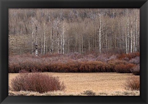 Framed Steens Mountain Meadow Print