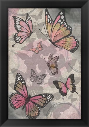 Framed Butterflies III Print