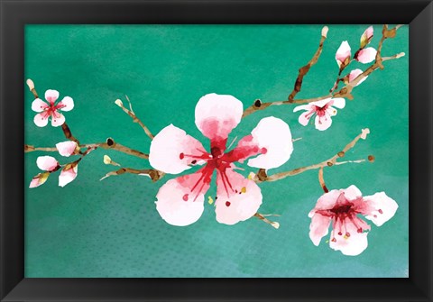 Framed Cherry Blossoms II Print