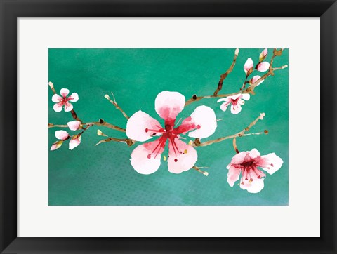 Framed Cherry Blossoms II Print