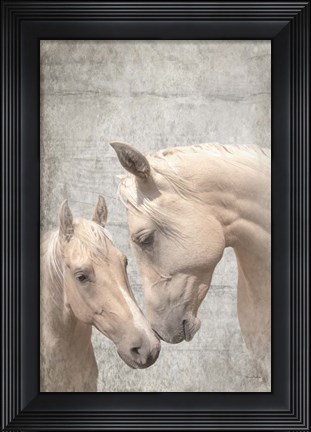 Framed Us Textured Print