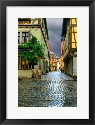 Framed Rothenberg Rain Print
