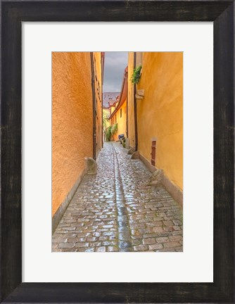 Framed Rothenberg Alley Print