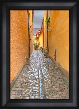 Framed Rothenberg Alley Print