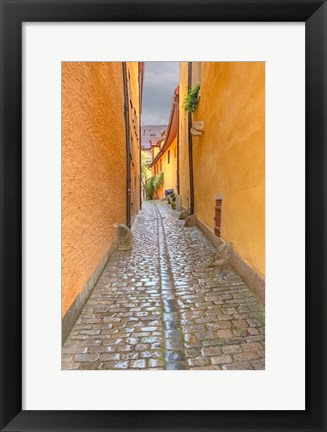 Framed Rothenberg Alley Print