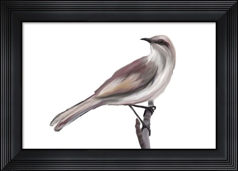 Framed Bird V Print