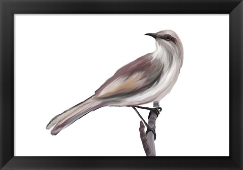 Framed Bird V Print