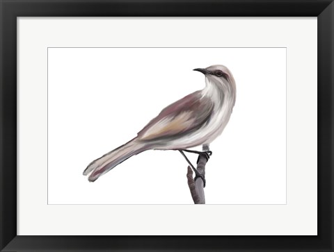 Framed Bird V Print