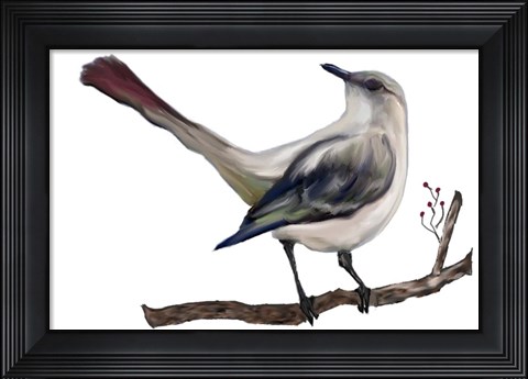 Framed Bird VII Print