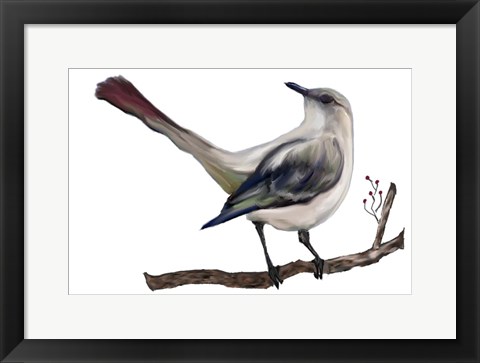 Framed Bird VII Print