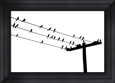 Framed Bird Neighborhood Print