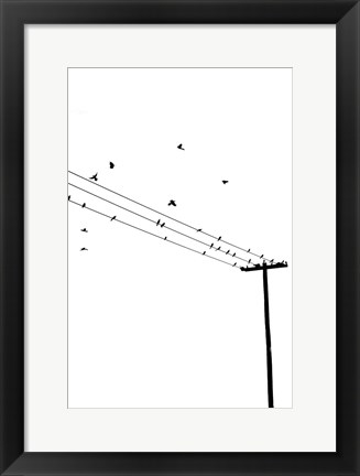 Framed Birds on a Wire Print