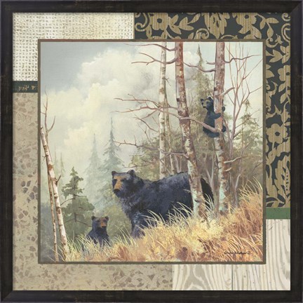 Framed Black Bears with Border Print