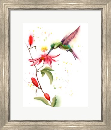 Framed Humming Bird II Print