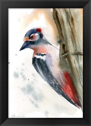 Framed Woodpecker Print