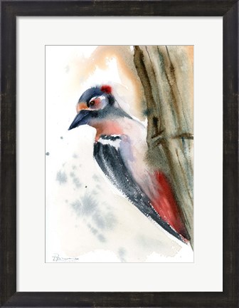 Framed Woodpecker Print