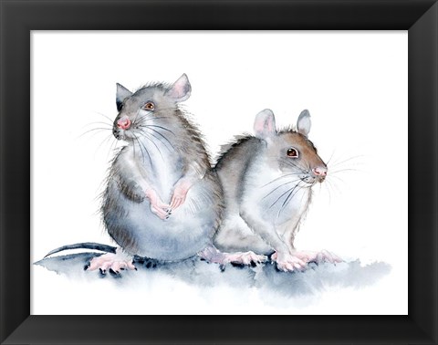 Framed Mice Print