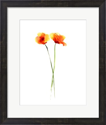 Framed Poppy II Print