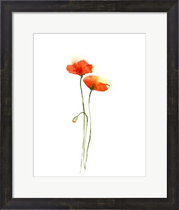 Framed Poppy III Print