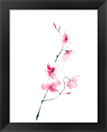 Framed Cherry Blossom Print