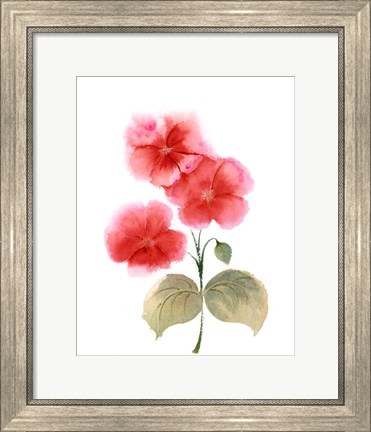 Framed Red Flowers II Print