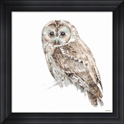 Framed Forest Friends IX Print