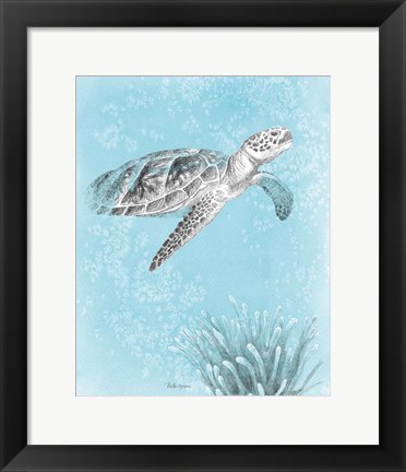 Framed Coastal Sea Life I v2 Print