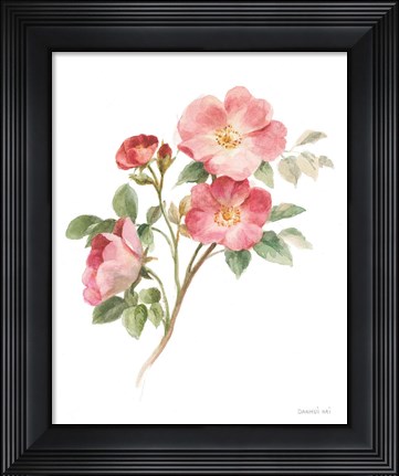 Framed Sprigs of Summer II on White Print