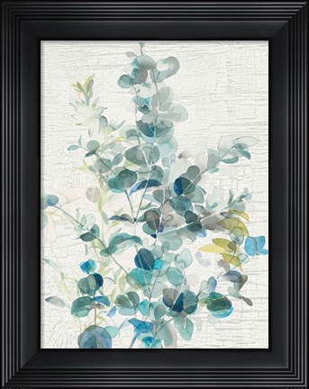 Framed Eucalyptus IV Vintage Print