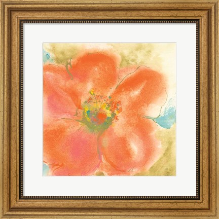 Framed Coral Poppy II Print