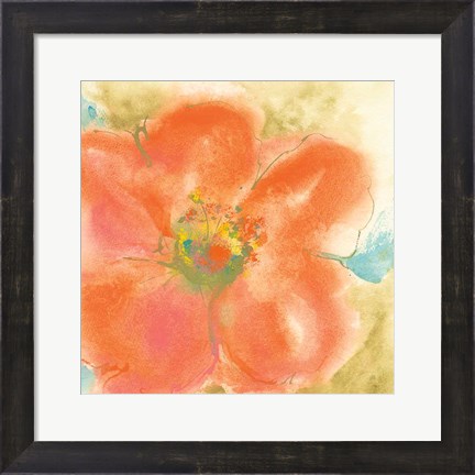 Framed Coral Poppy II Print