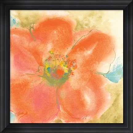 Framed Coral Poppy II Print